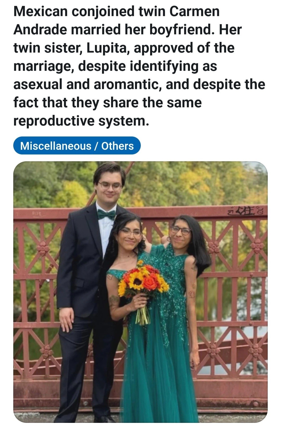 accc9494-43ce-44cf-85d2-c0aeadd01155