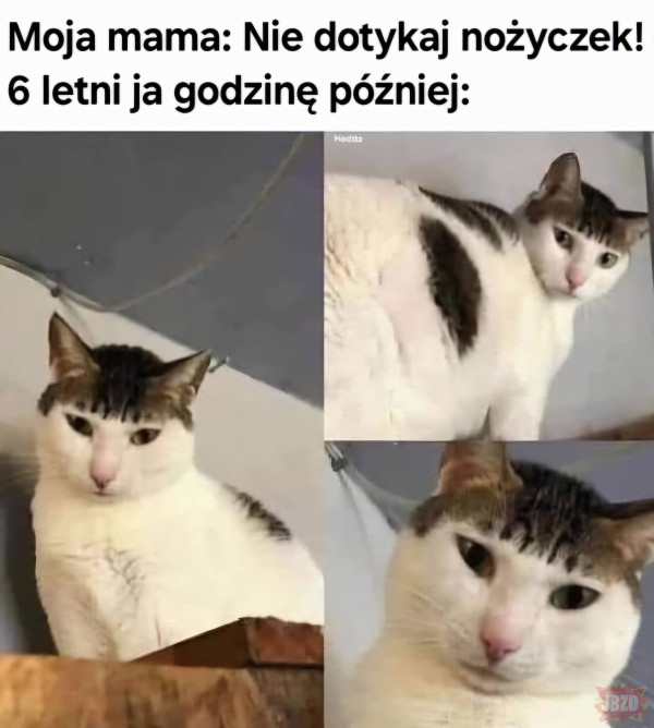 c28b82ea-cf58-4a1e-8dc0-0767b6a18664