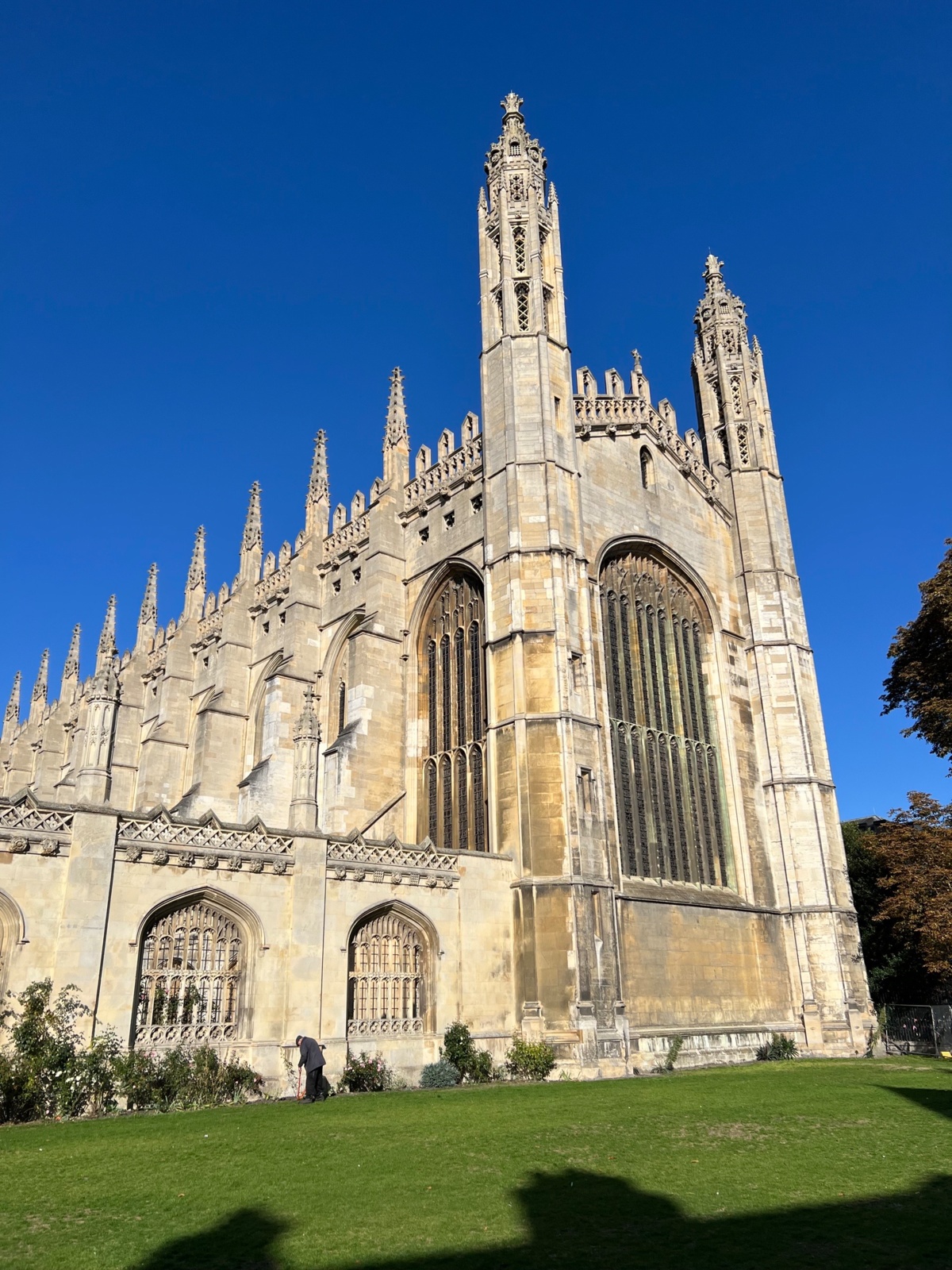 5e02a17d-b407-46c5-bf96-a79212549cd5