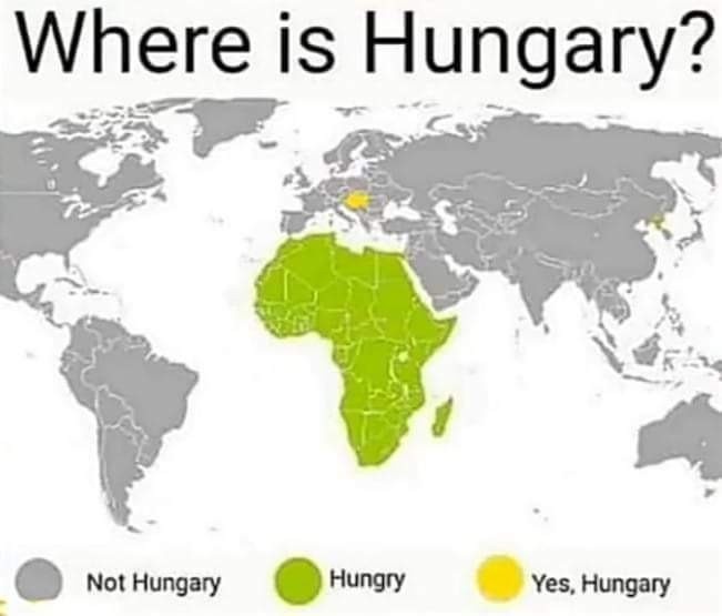 d92674c1-f556-4b6d-9109-1217d5ed1436