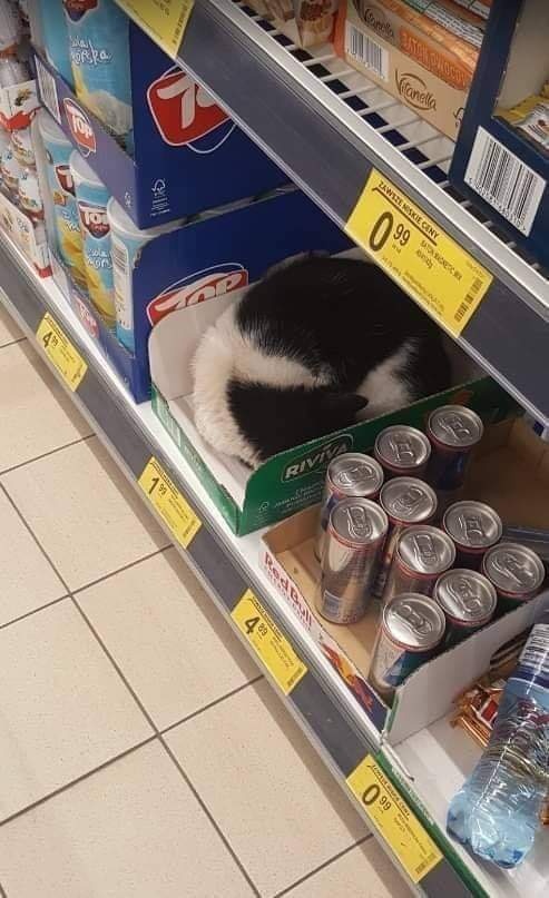 89bcf9b4-7de2-43f4-8040-e5ace551911a