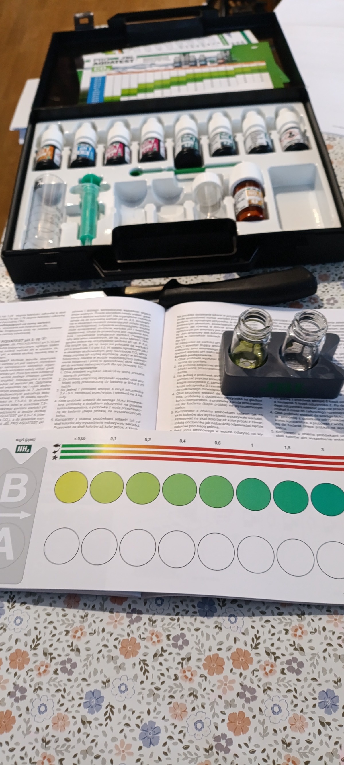 ff81fcbb-145a-4c61-9b27-95cba9819916