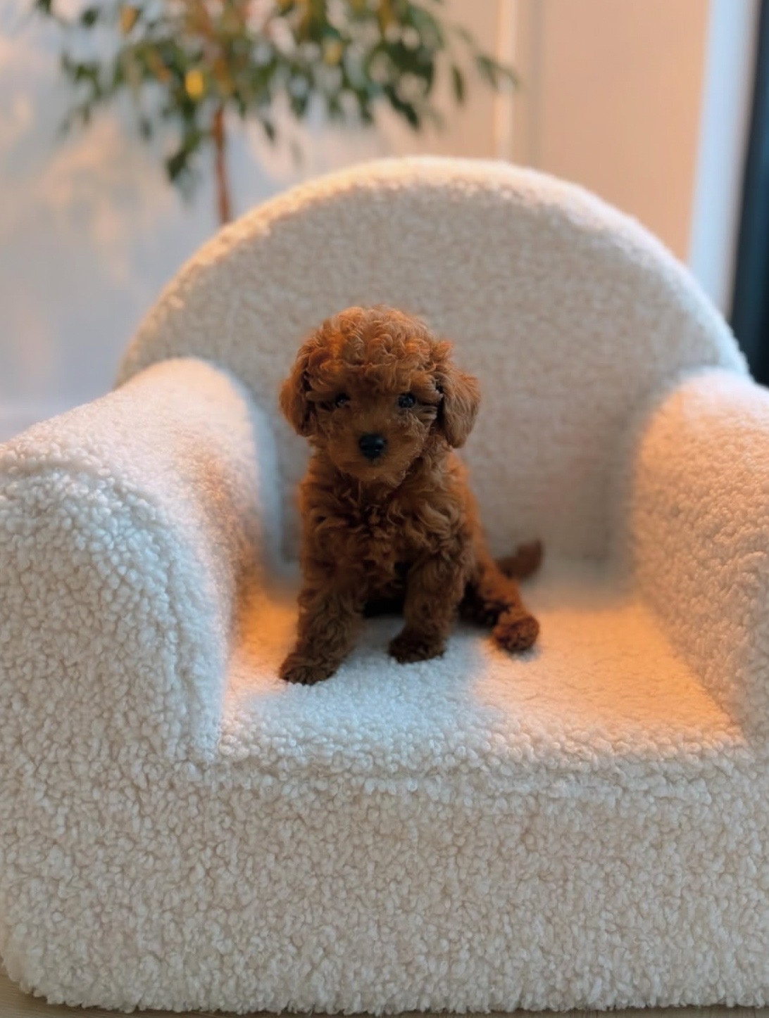 249746df-4087-4122-af4e-36cb9654ac6e