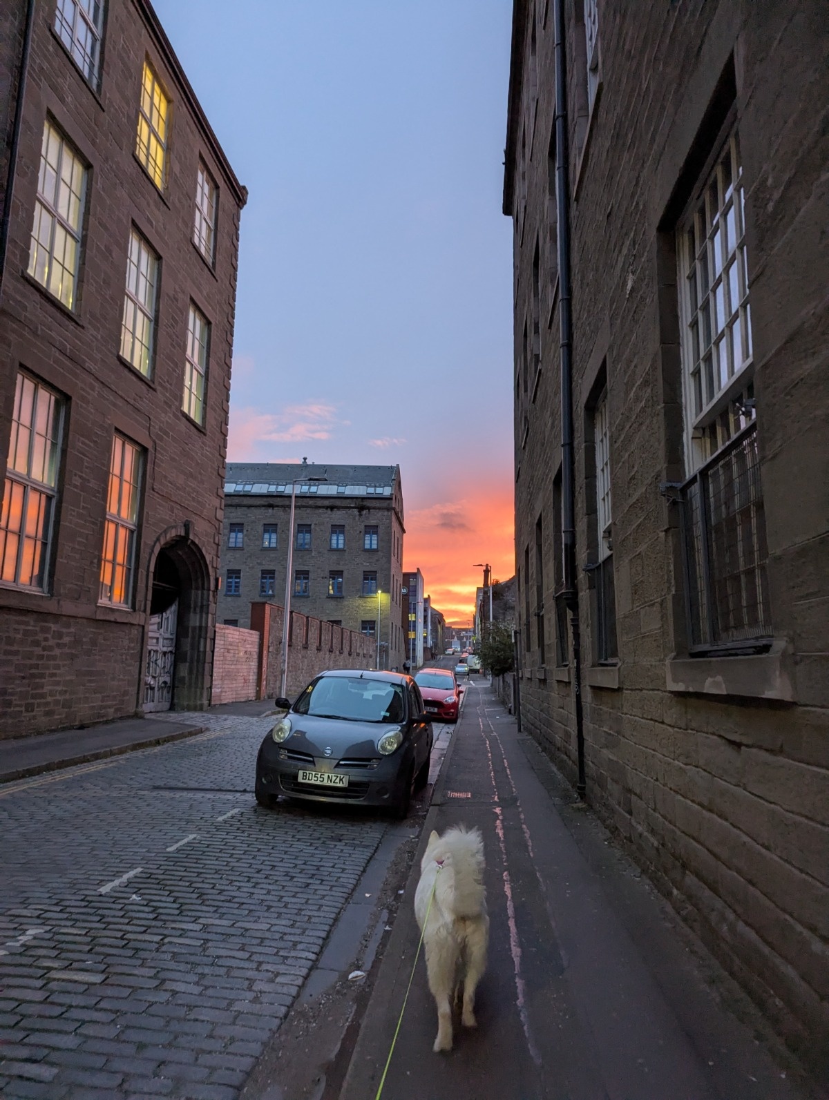 1555c369-c775-45d6-a79f-283670b2242d