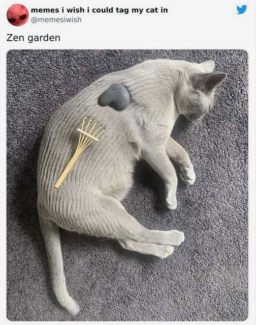 afcb1826-fdfe-4de4-b7ca-717ceed8a41b