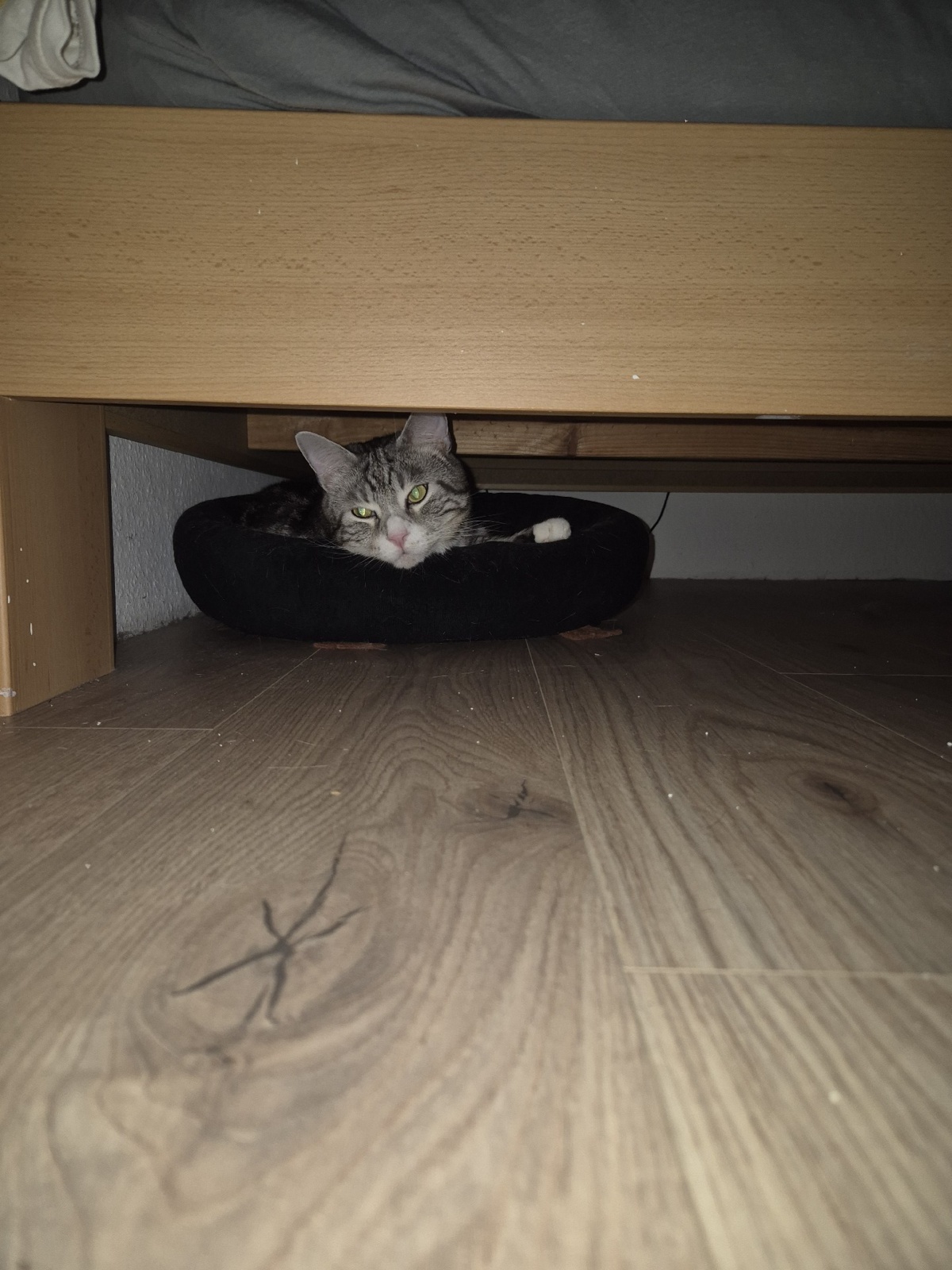 37b5d439-1df8-4499-b1f1-c6698ca289ff