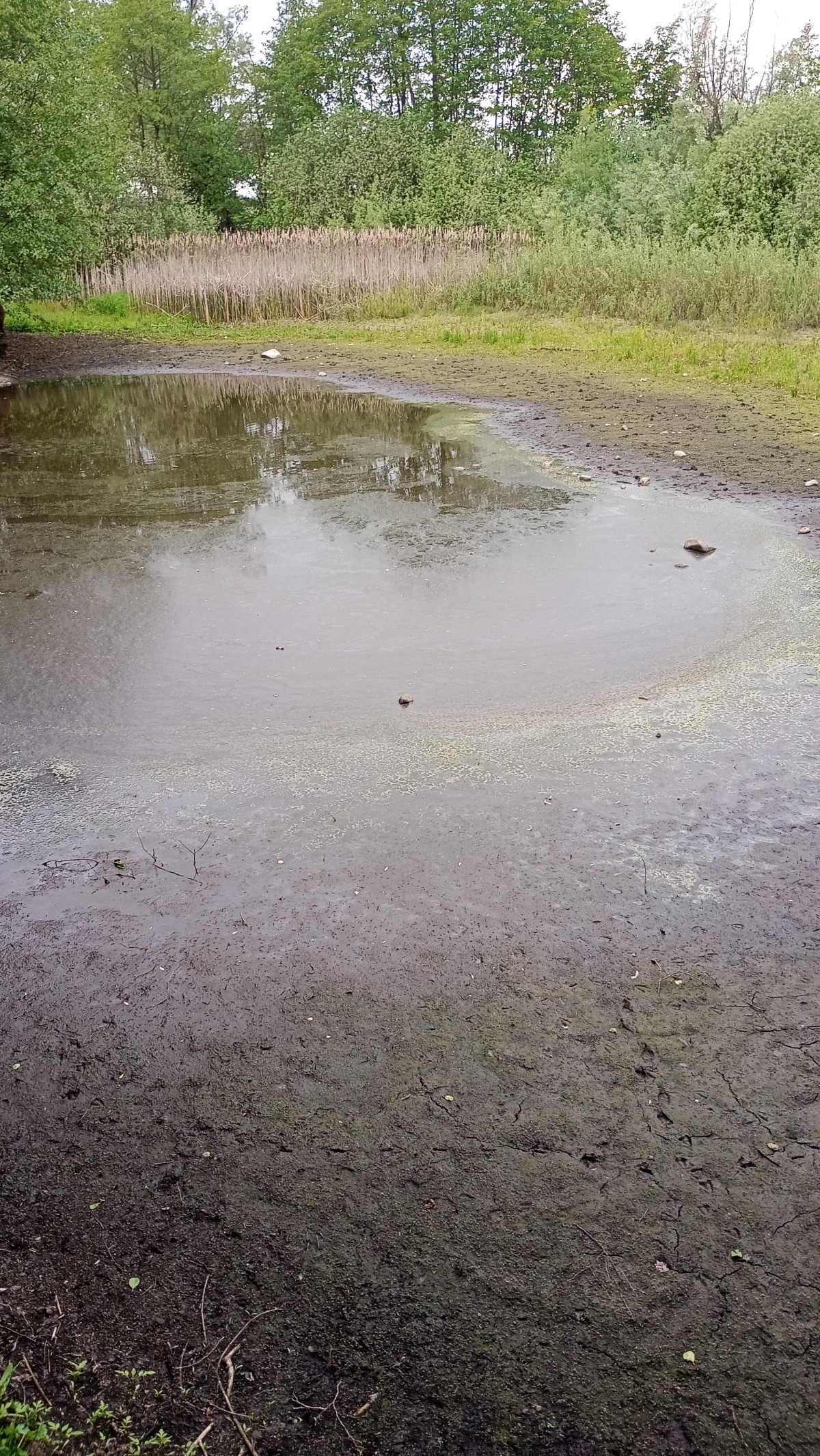 aa81f10c-25a3-4a11-9d48-088eb84a657a