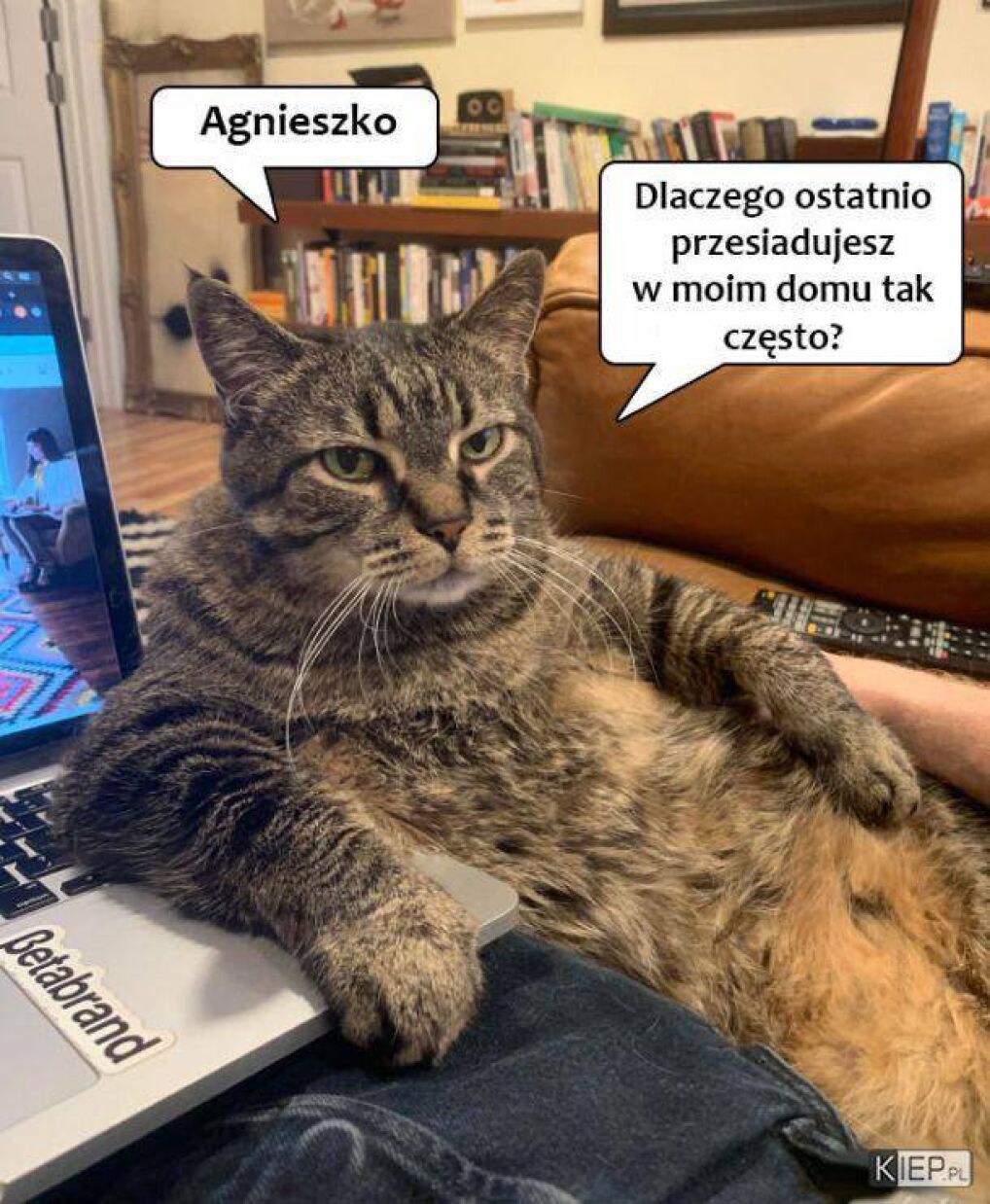 c4f60cec-9bed-4658-a48a-f3f95934385e