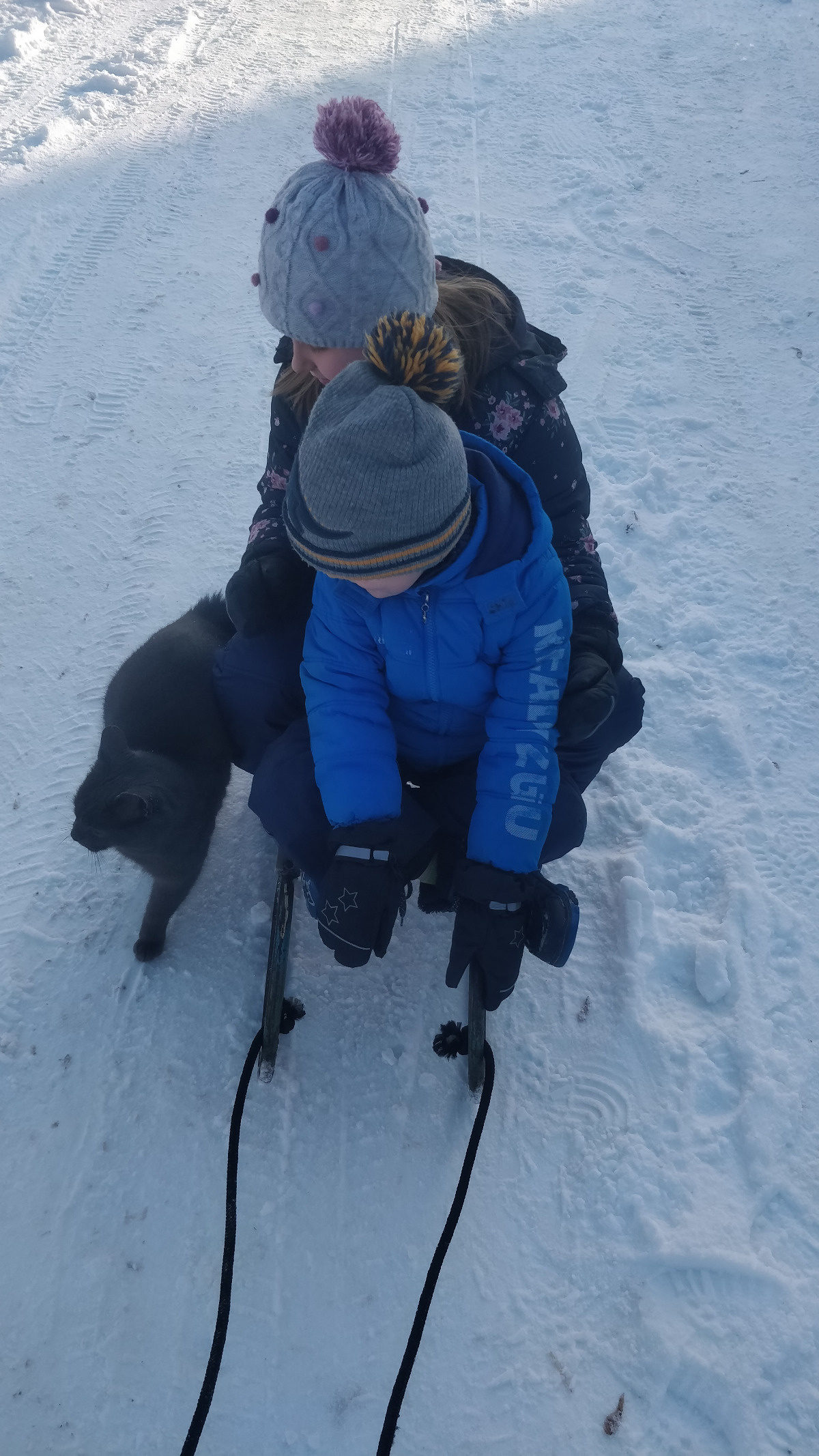 2116416a-4a69-4f3c-bcf8-f3901c131454