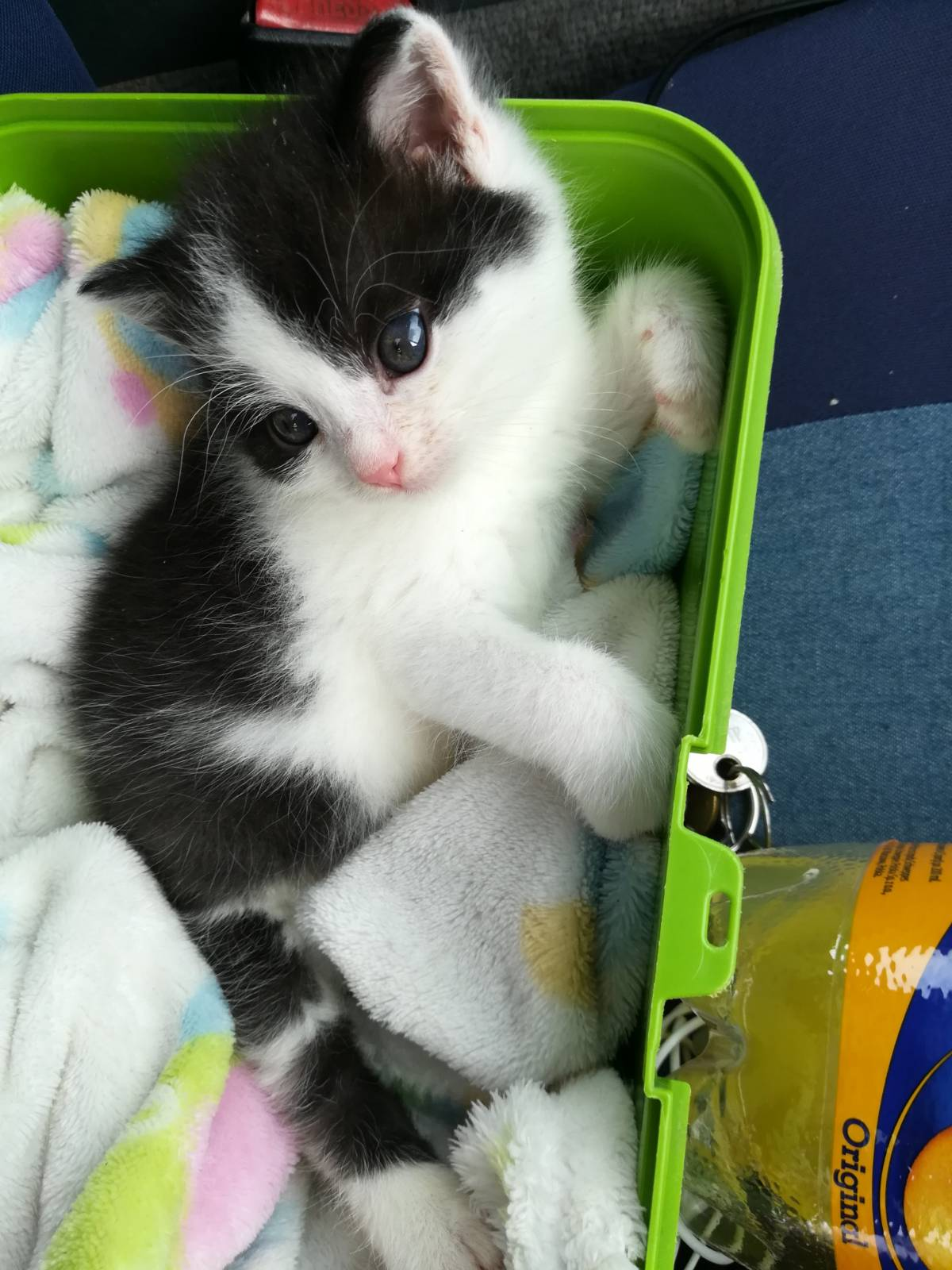 7831efbd-ea9e-4052-ac80-8301d6b8291e