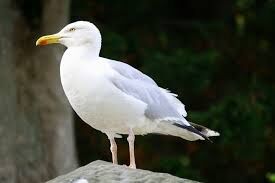 c3683901-0fc0-4aa7-afad-b051b4485348