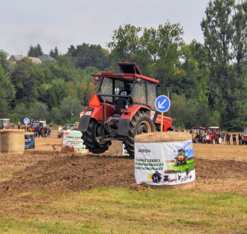 7d326d79-2031-46ae-ba49-0ab5c1a88633