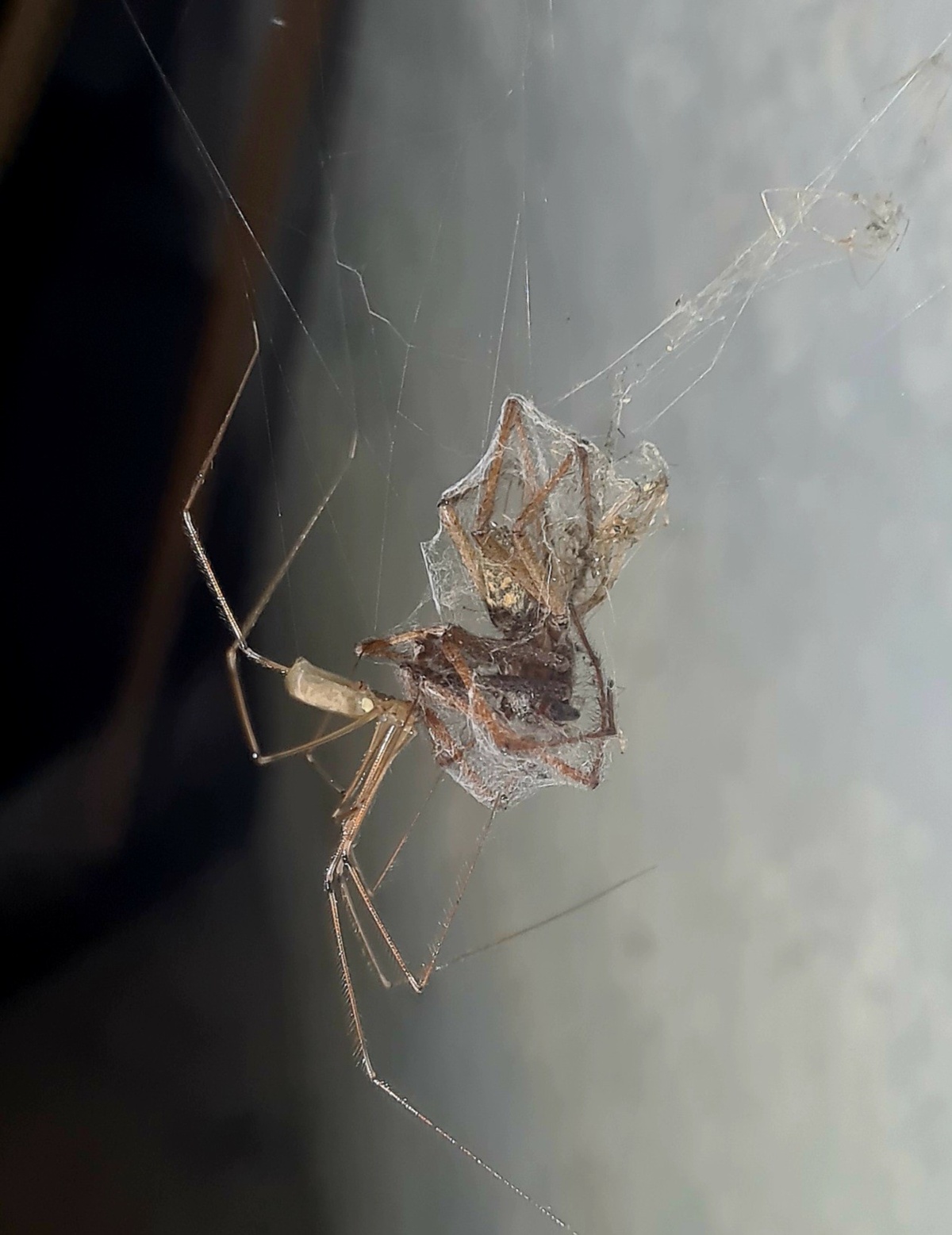 3242a54f-b134-4039-a075-26c92139ef17