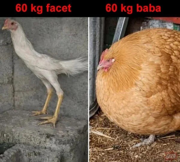 7444e458-d04f-4c13-8907-3518a78f67bd