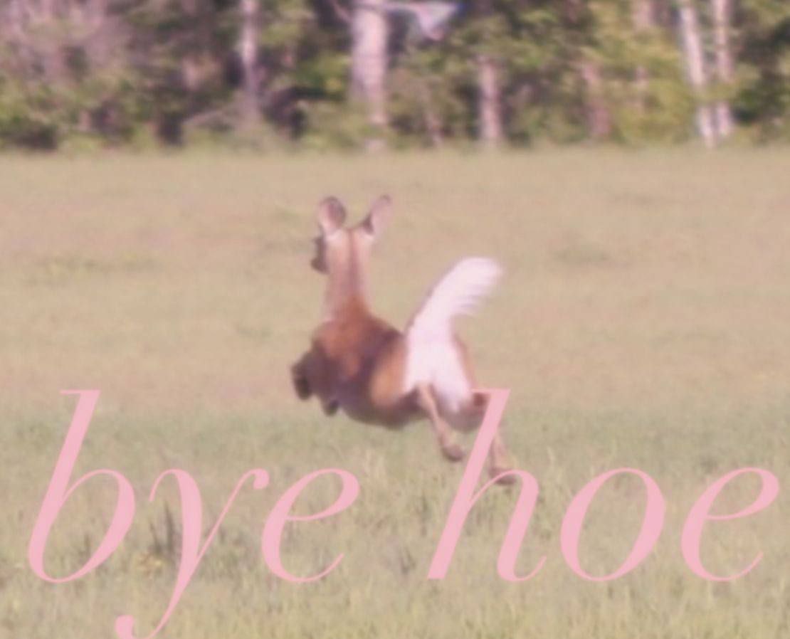 ab36b120-fb35-4641-8792-d2ed775ecdb9