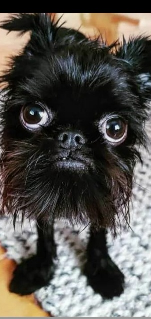 f080f342-0819-4ba3-a1cf-627896470cef