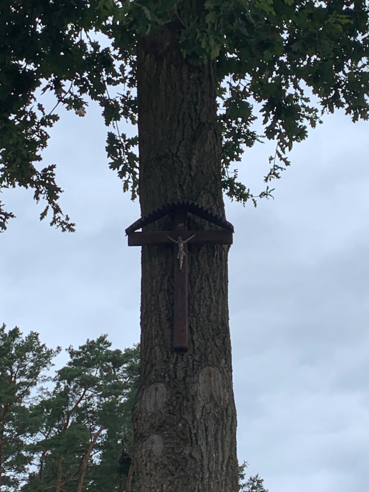 666af732-0bc5-49ab-8978-daec3f6734e4