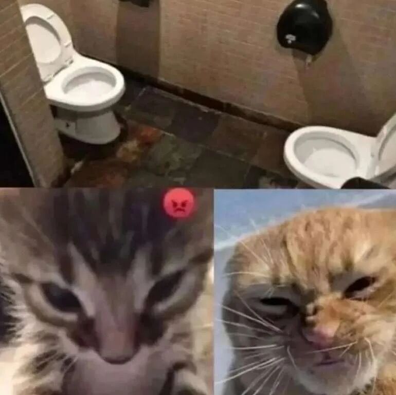 b9353efa-847c-4725-8972-fae4ebb0e551