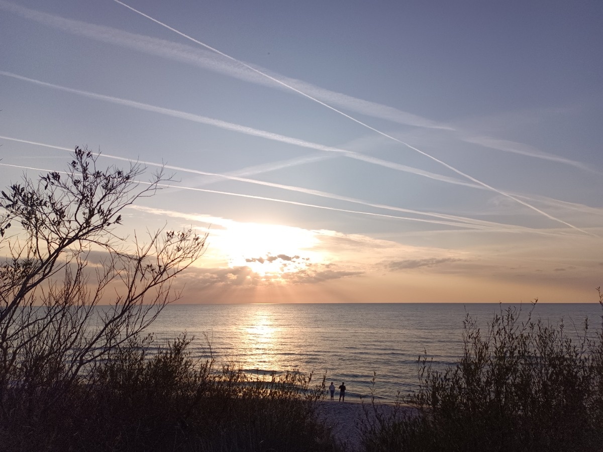 51c20ca7-659f-4abe-9bab-5ebcc40c6c83