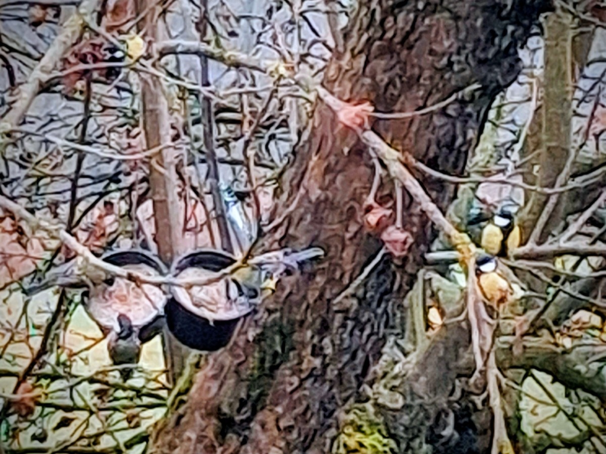 a4a27155-71da-4c89-a73a-5cd5a69ce33d