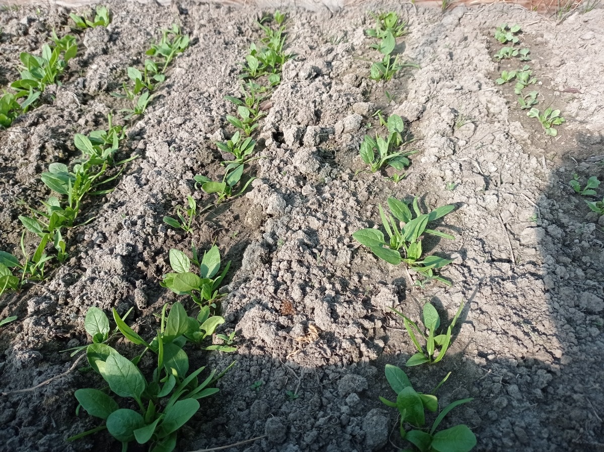 2880e8b2-c121-49db-97d4-32678127a44a