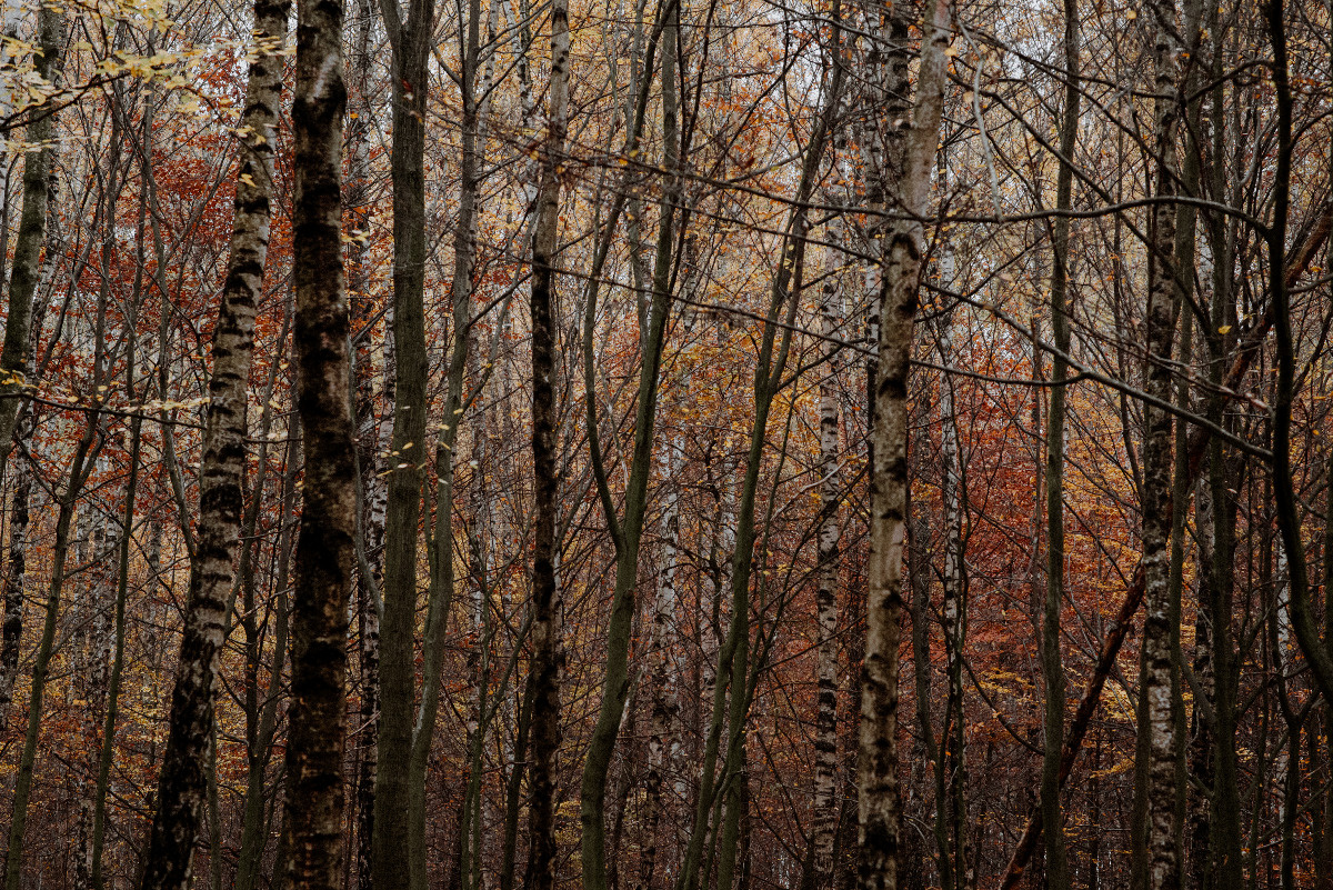 47c7d528-f3df-461b-a8e9-3c3c3dadd561