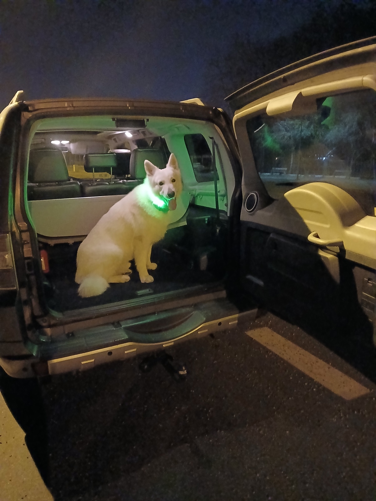 29baf075-6b85-4c33-82b8-0a7bdd433dfd