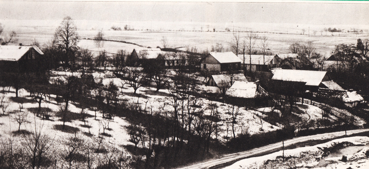 9e0d32dd-defb-42a3-bf95-3ec29af44c93