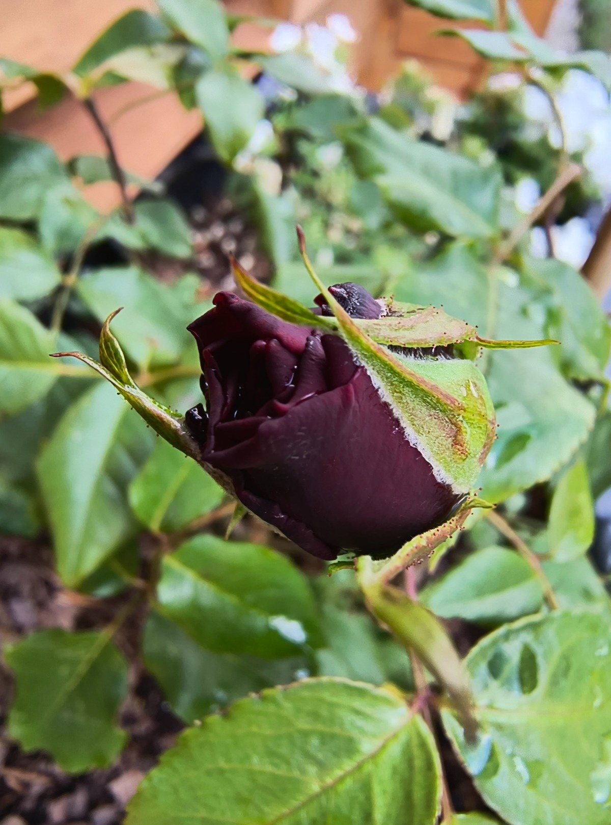 a3e1479c-9347-44ef-9a3e-27586b21bb76