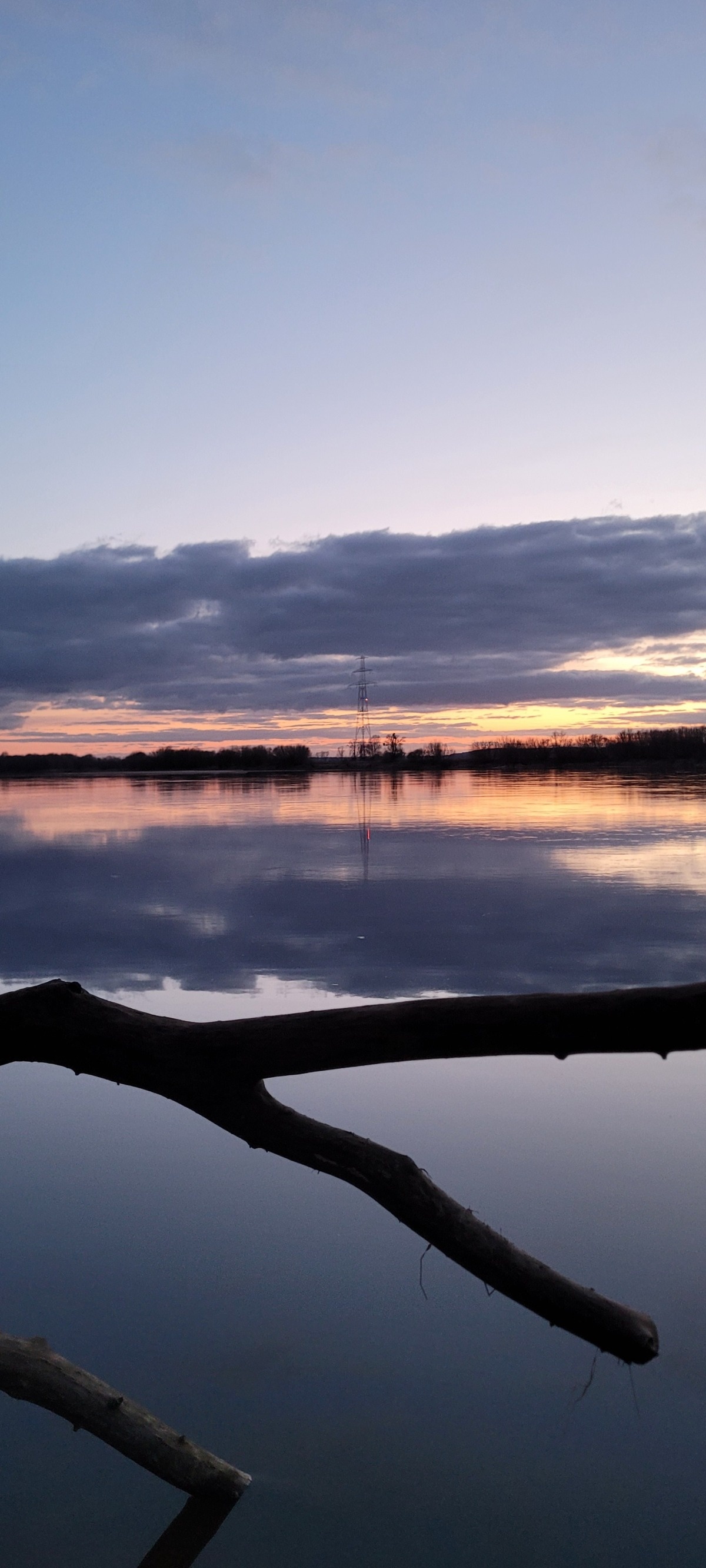 e35f14f3-1edd-447f-a736-07c2adee3cb7