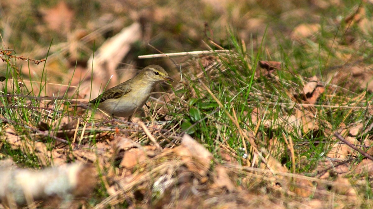 bf56f7a4-89e8-4c62-95c5-677b6d107b28