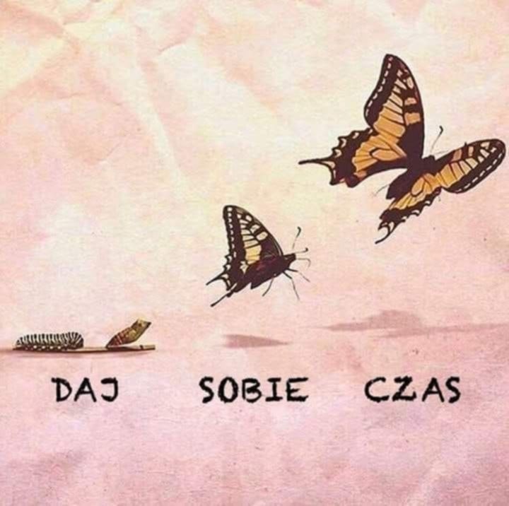 3bcc6bb0-85f1-4091-8c52-77538a487db2