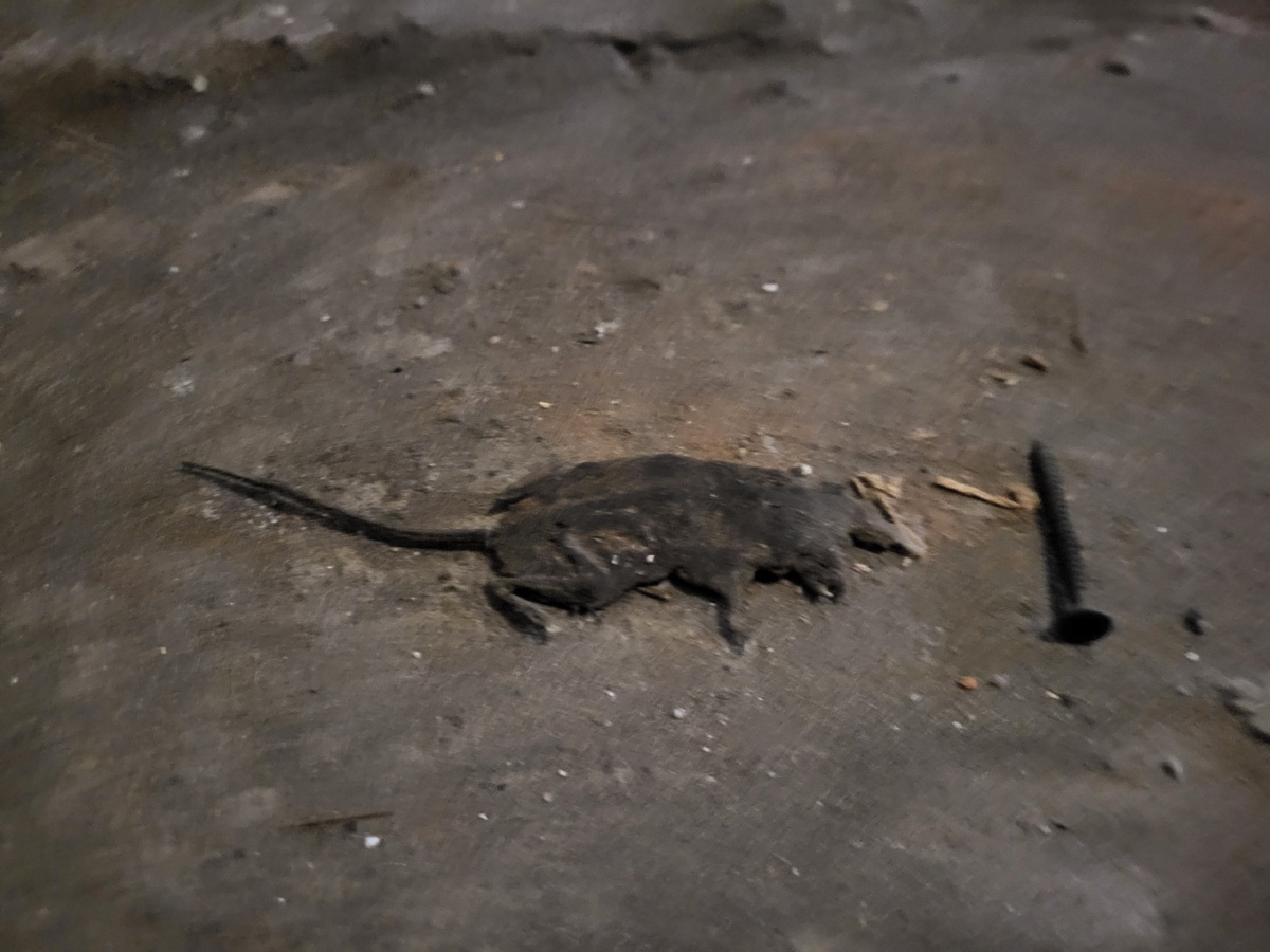 2079e139-ffe7-4603-9513-7230937f66a9