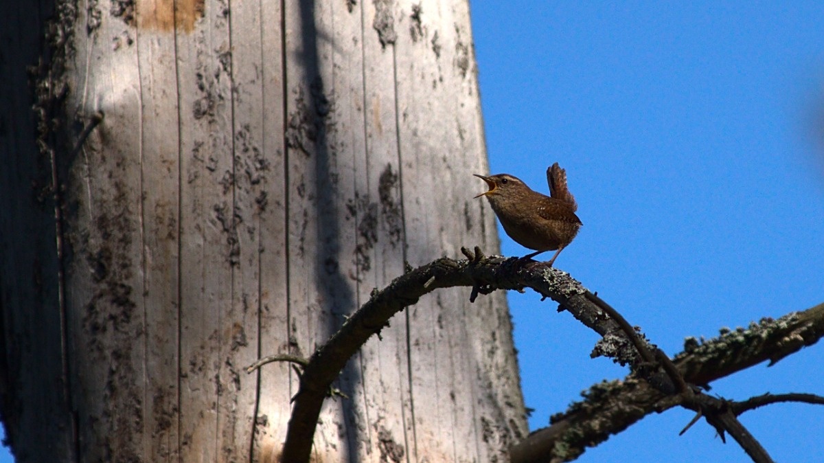 ff4e8bb7-45c4-47c2-8c28-5c94646d2489