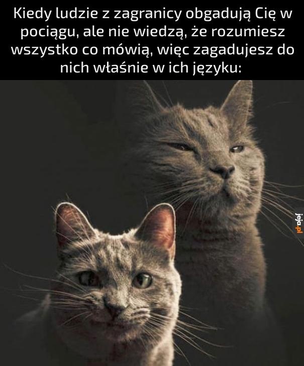 99360cc1-9b28-4bff-be47-4142f27d24bf