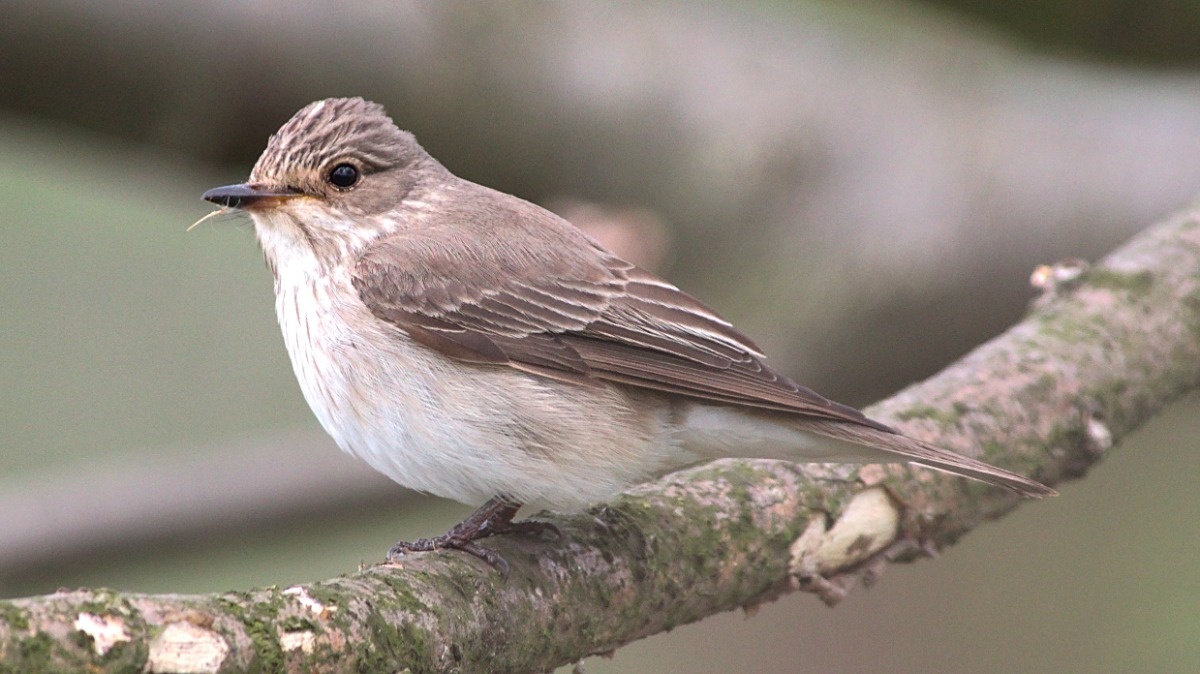 b9407310-fe0f-4f66-82dc-797391190081