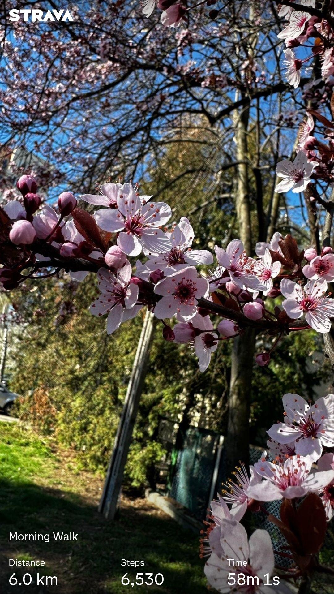 5d7491a6-1466-4cf5-925f-abcf8a577c13