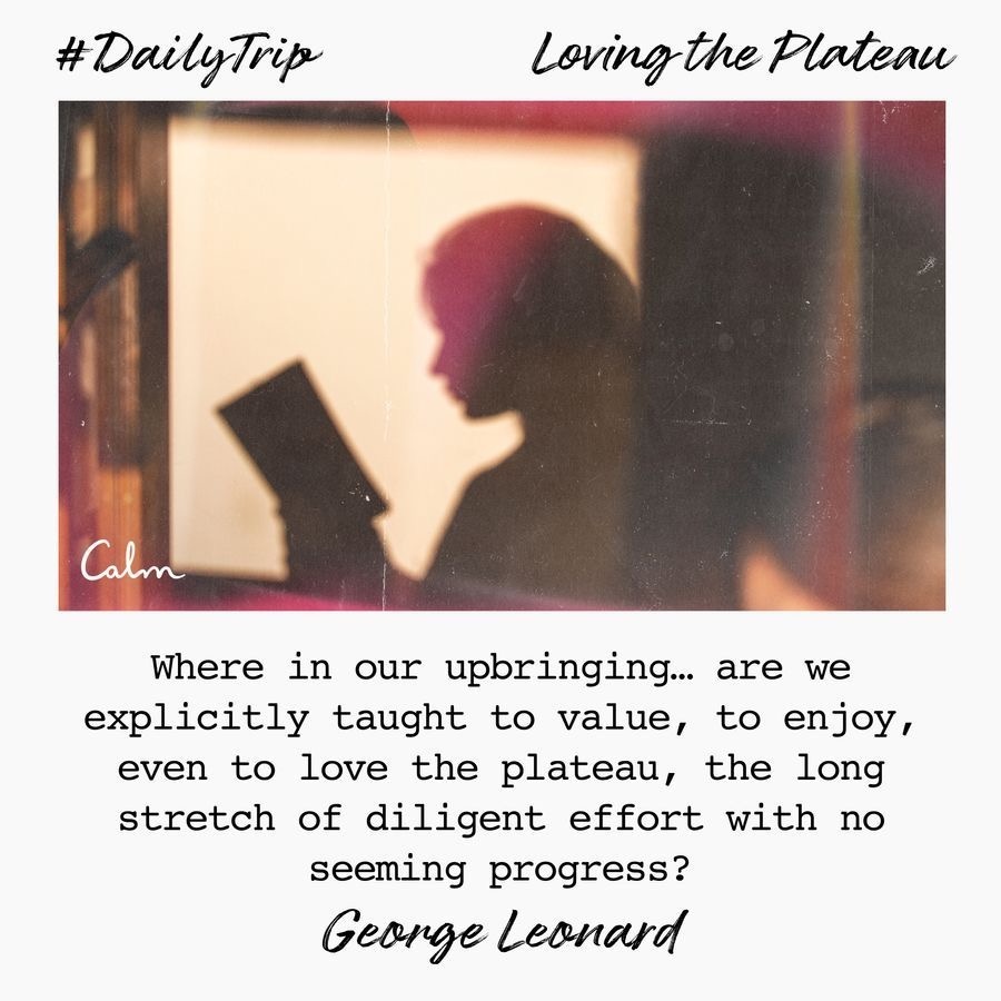 1ee3449a-0411-481c-a9b7-5656faa95f67