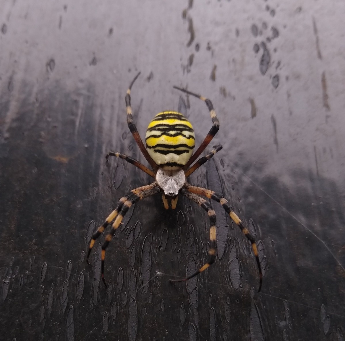 bdc88424-12e7-447f-b074-40372375dfbf