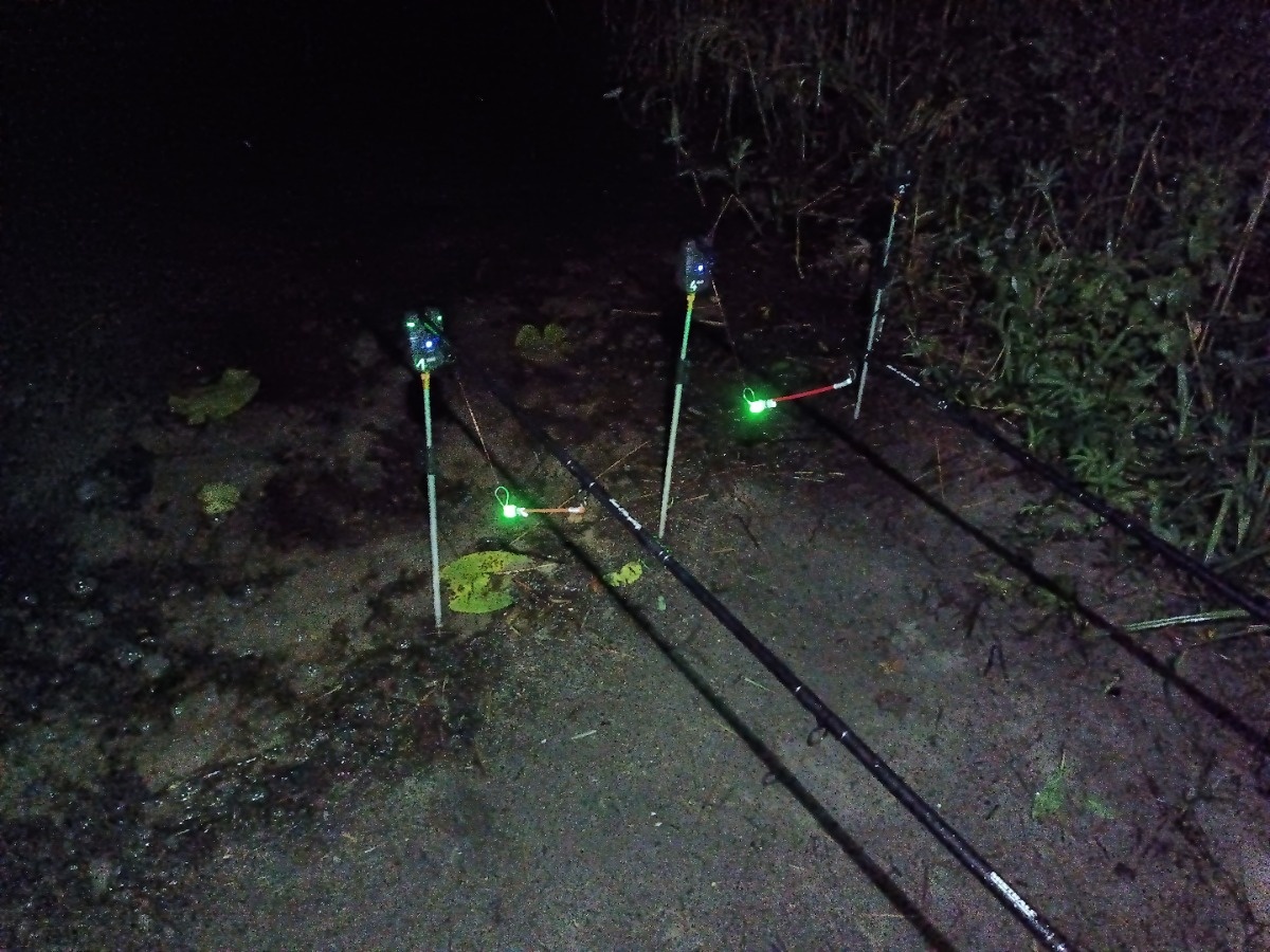 3cec2c83-f181-43d9-8195-5134c3bfaafb