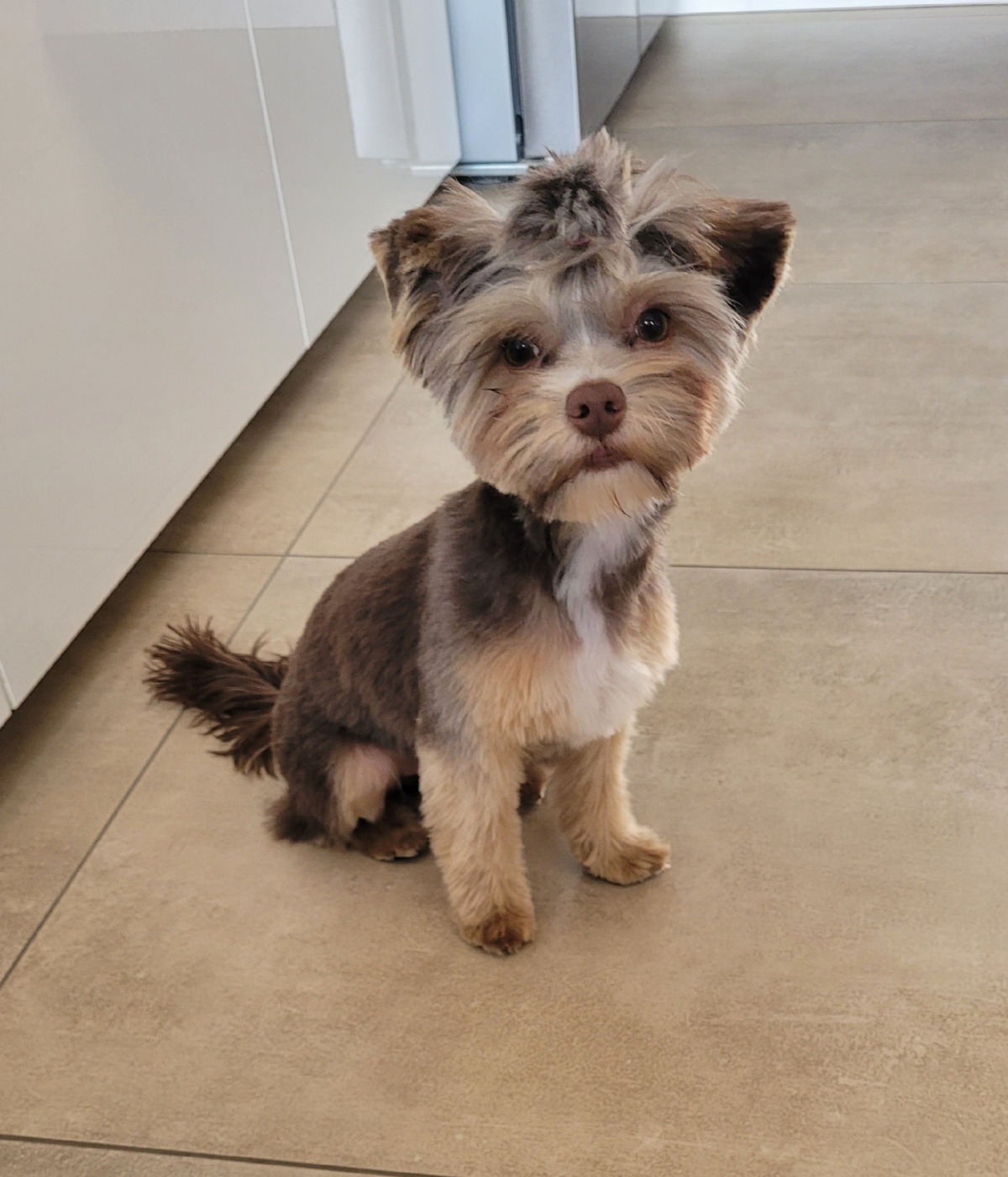 f4af30d7-49c2-445c-8aa7-ce310b41e1d6