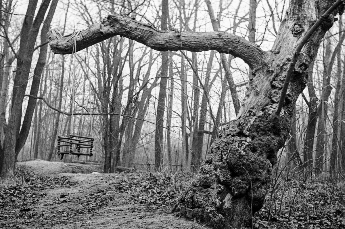 7a38f867-05e4-4c55-b9f2-1d913a9c04b8