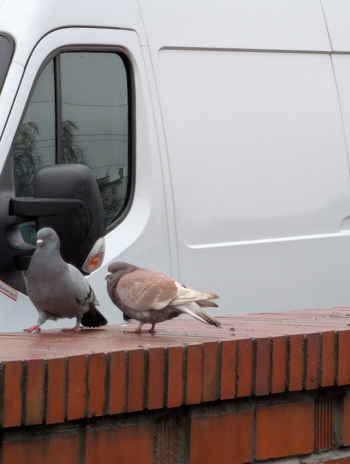 c7ab7ad2-a08c-41cf-b5aa-b05cb195e2f1