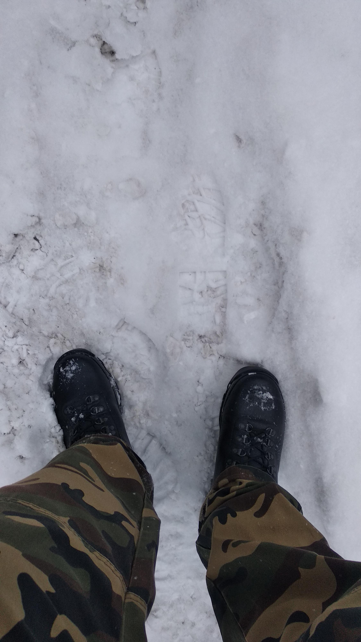 15997e0d-5075-4077-88cc-668a1c4f88d2