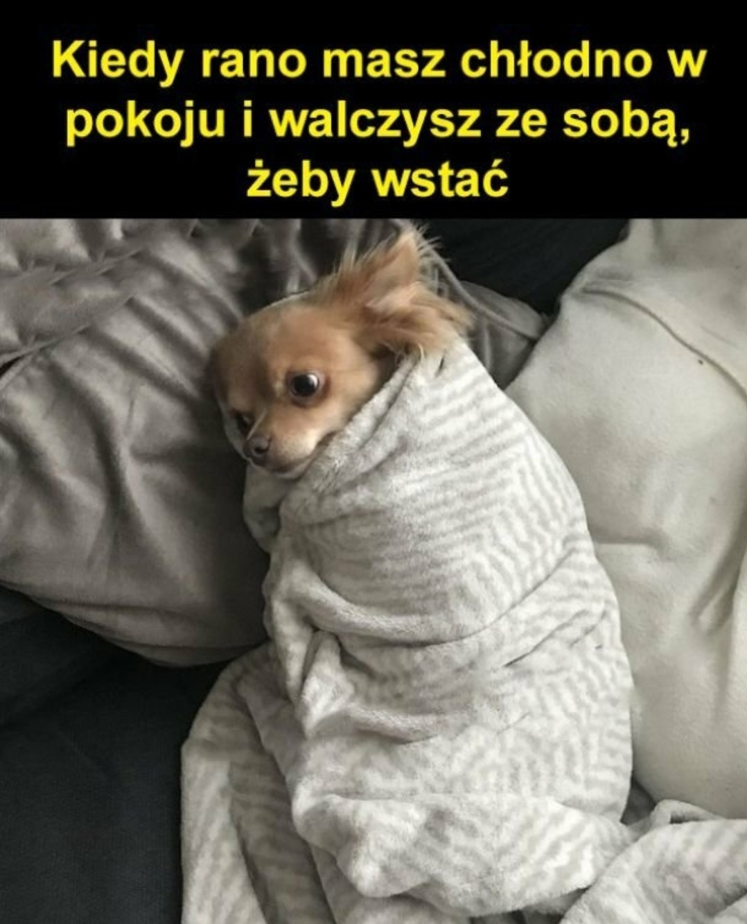 fe507ba8-702c-40dc-aed1-65c21179422f