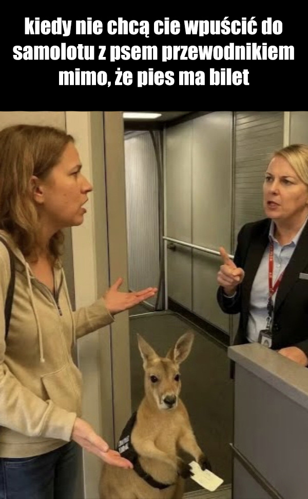 003b6c95-cc17-4b06-a532-2a2283d4b7d4