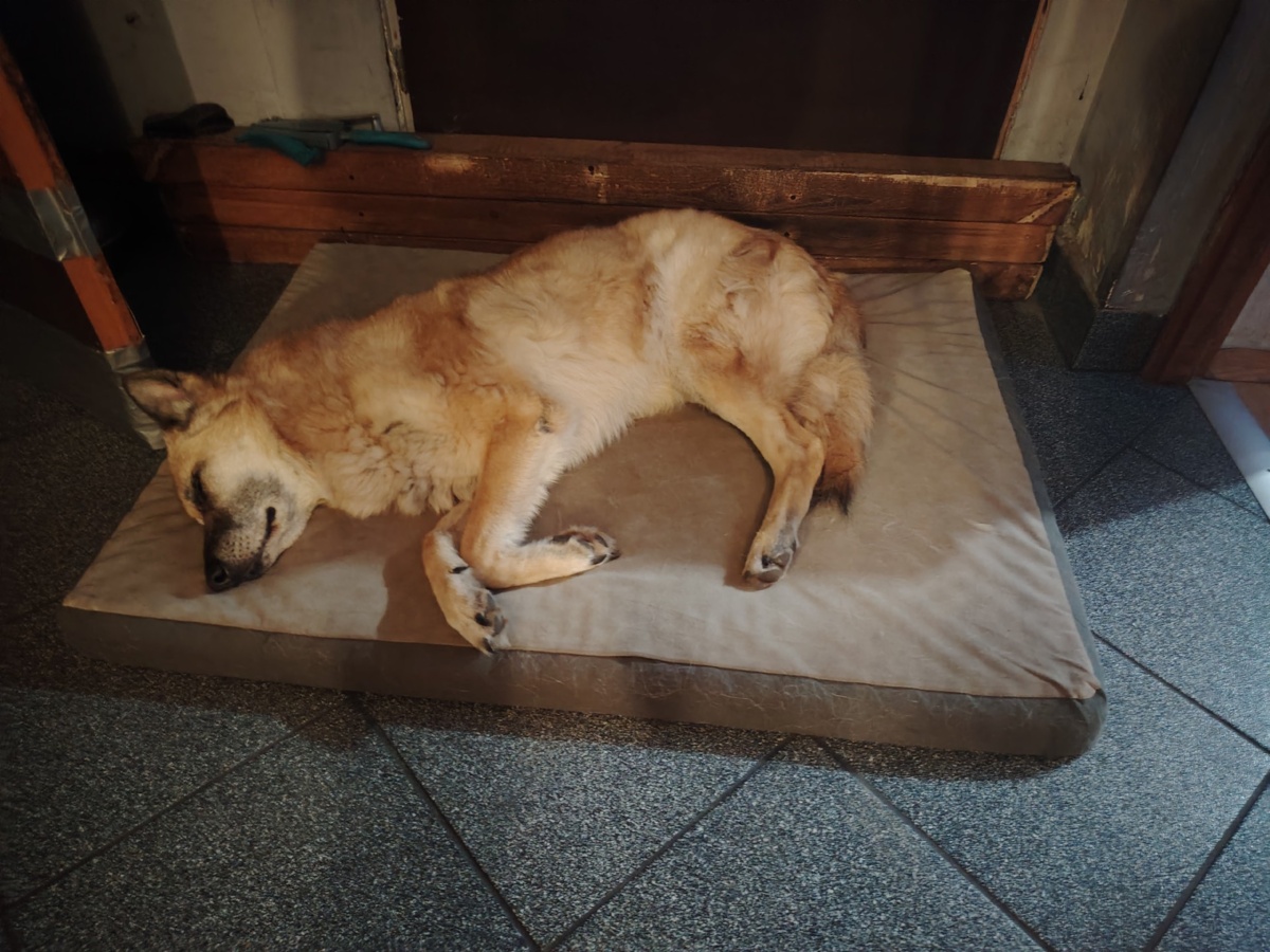 f48c5227-a58d-488e-9538-4fefc2c82f66