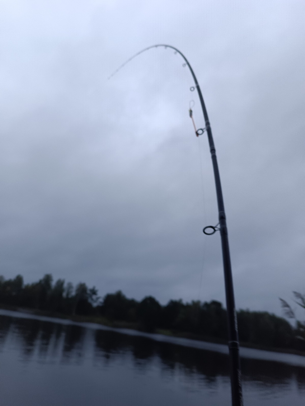 1cfbda25-f77c-4623-bb09-c932a581ad10