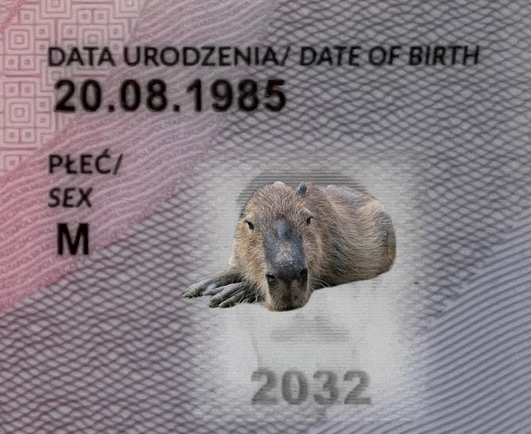 778260c3-3182-4b01-8ad8-1eabe5a1c8d5