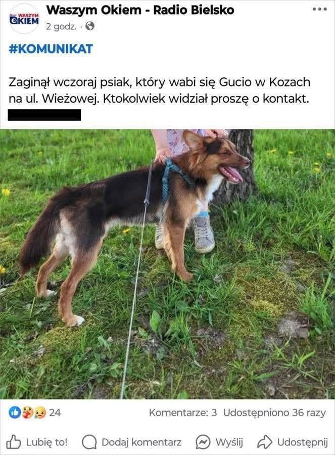 0deacaf1-4268-4207-9c6c-9f2ee3bc79b5